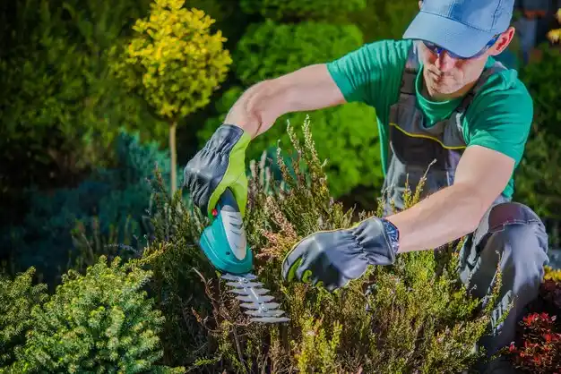 landscaping services Lockland